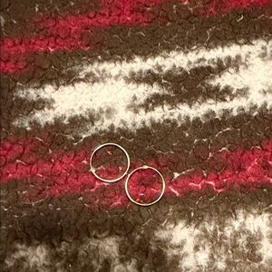 Silver Hoop Earrings